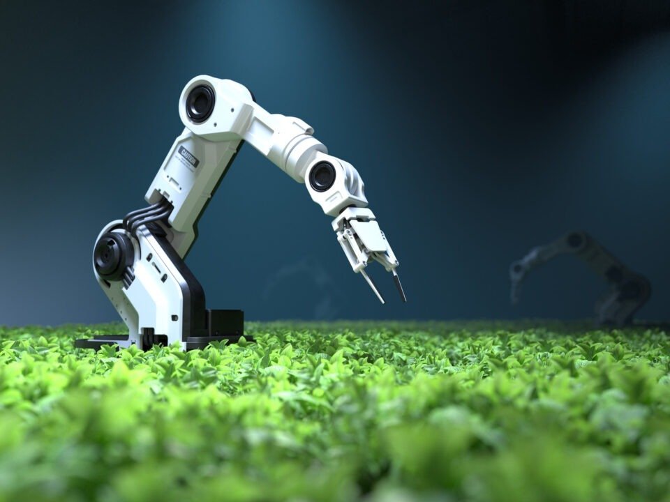 Ai industry growth